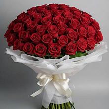 Букет 101 Красная роза Блэк Мэджик в Кумертау