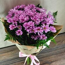 Букет цветов из:  Хризантемы #REPLACE_PRED# Кумертау