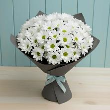 Букет цветов из:  Хризантемы #REPLACE_PRED# Кумертау