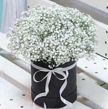 Цветочная композиция из Гипсофила в шляпной коробке #REPLACE_PRED# Кумертау