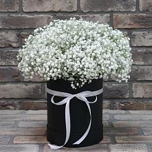 Цветочная композиция из Гипсофила в шляпной коробке #REPLACE_PRED# Кумертау