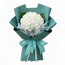 Букет цветов из:  Гортензия #REPLACE_PRED# Кумертау
