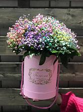 Цветочная композиция из Гипсофила и Розы в шляпной коробке #REPLACE_PRED# Кумертау